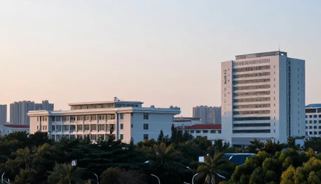 app开发公司定制，商机对接服务如何助力业务增长
